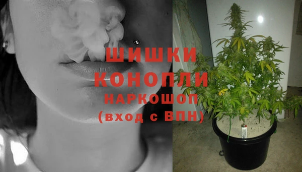 каннабис Арсеньев