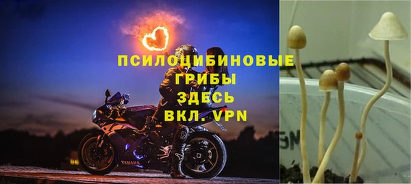 трава Алексин